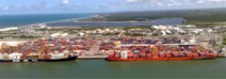 17 port terminals go to auction